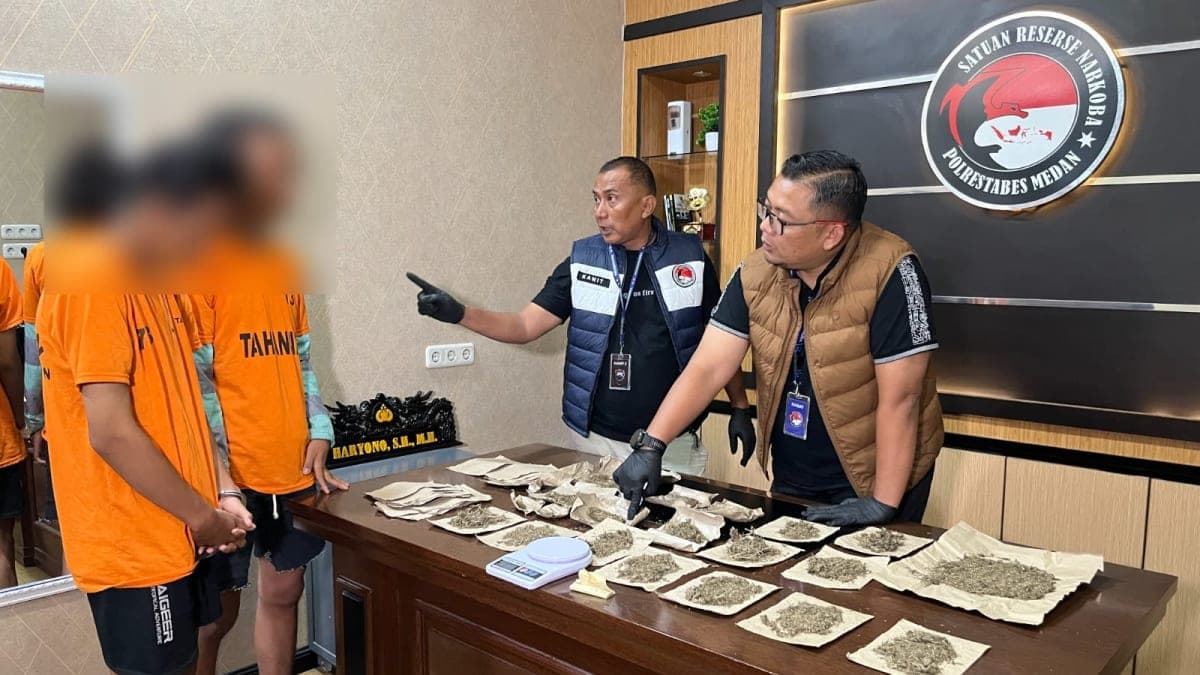 Operasi Senyap Satresnarkoba Polrestabes Medan Berhasil Bongkar Jaringan Ganja Mahasiswa, Dua Pelaku Ditangkap